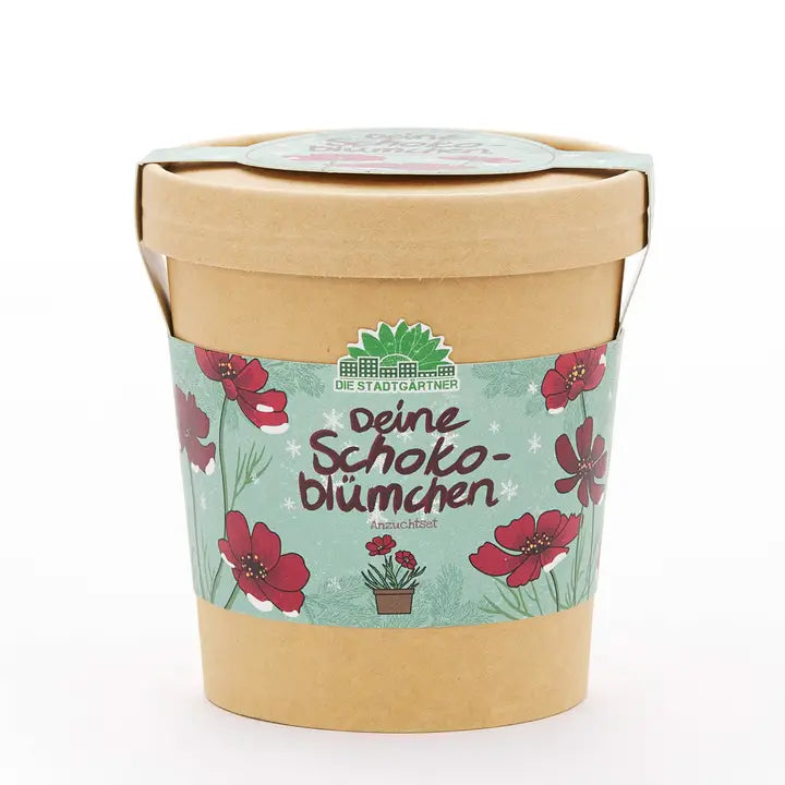 Schokoblumen aus dem Becher