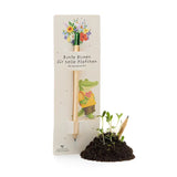 Back-to-School Blumenstift