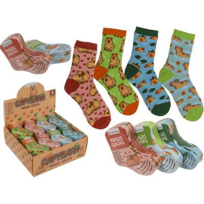 Zaubersocken Capybara assortiert