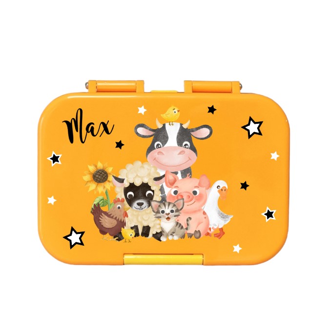 Kleine und leichte Znünibox für Kinder – Ideal für Spielgruppe